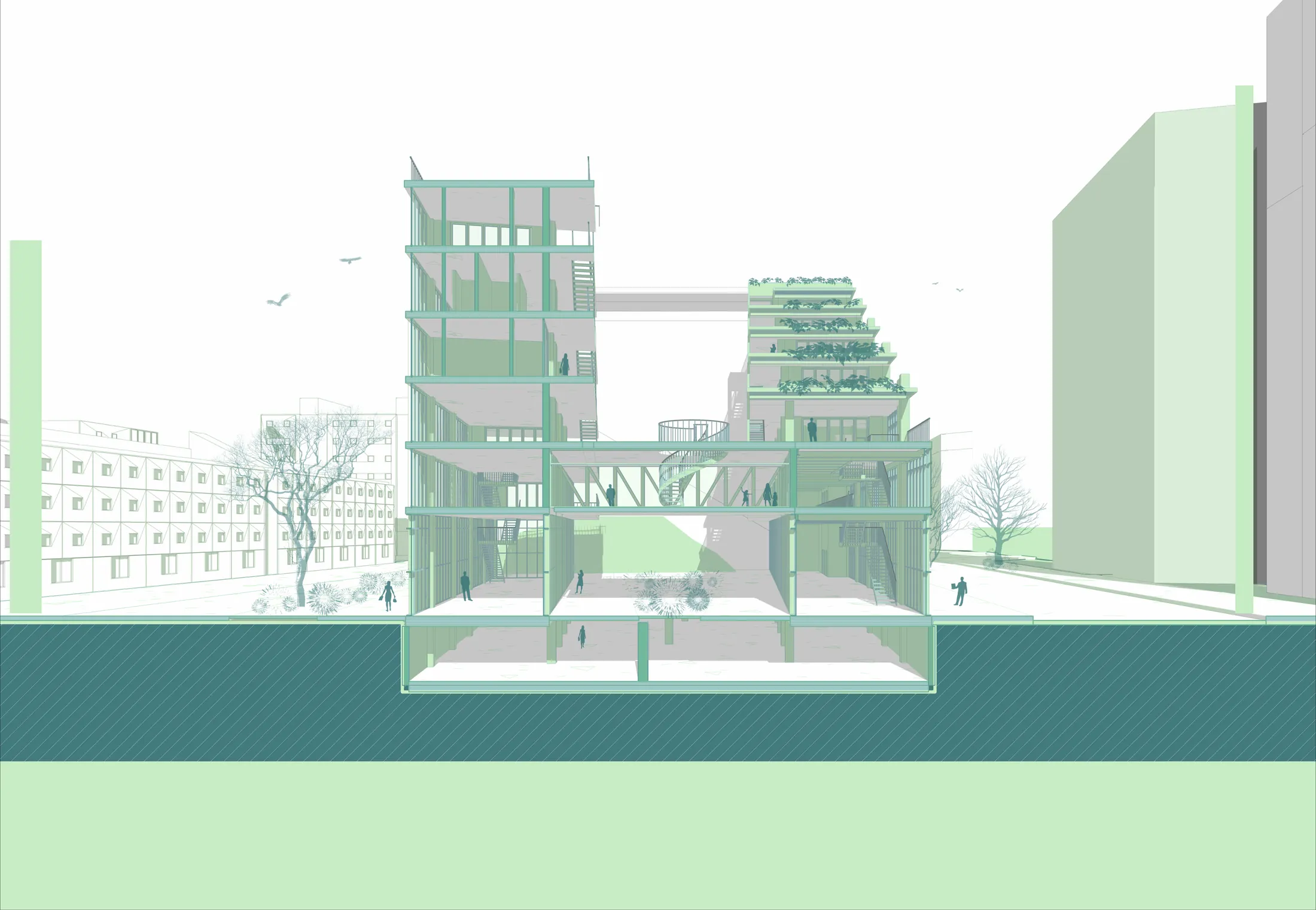 APEX, section